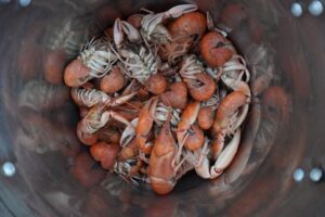 A bucket off crayfish