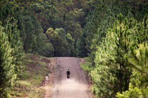 A dirt bike rider in the Beerwah State Forest on the Sunshine Coast