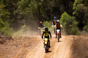 Group Of Bike Riders