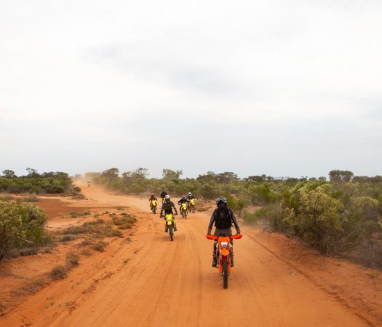 A group riding dirt bikes